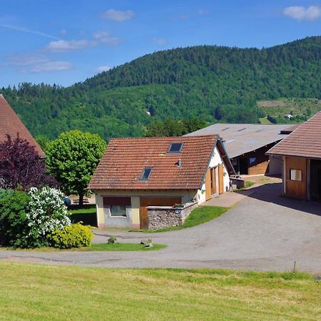 Hebergement Francois Mathieu Saint-Maurice-sur-Moselle Exteriér fotografie