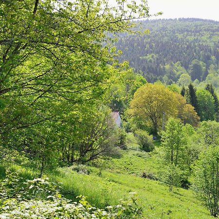 Hebergement Francois Mathieu Saint-Maurice-sur-Moselle Exteriér fotografie