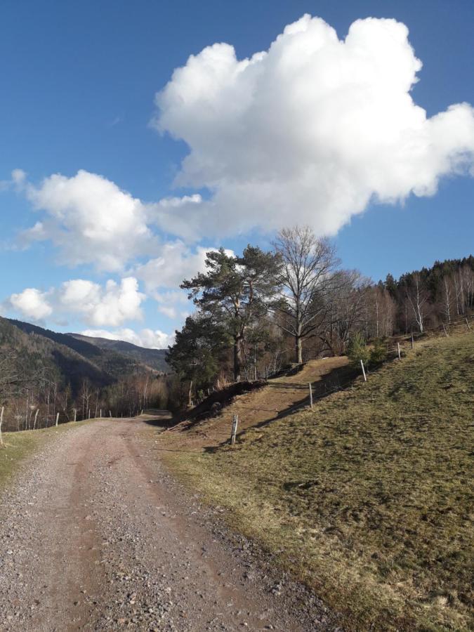 Hebergement Francois Mathieu Saint-Maurice-sur-Moselle Exteriér fotografie