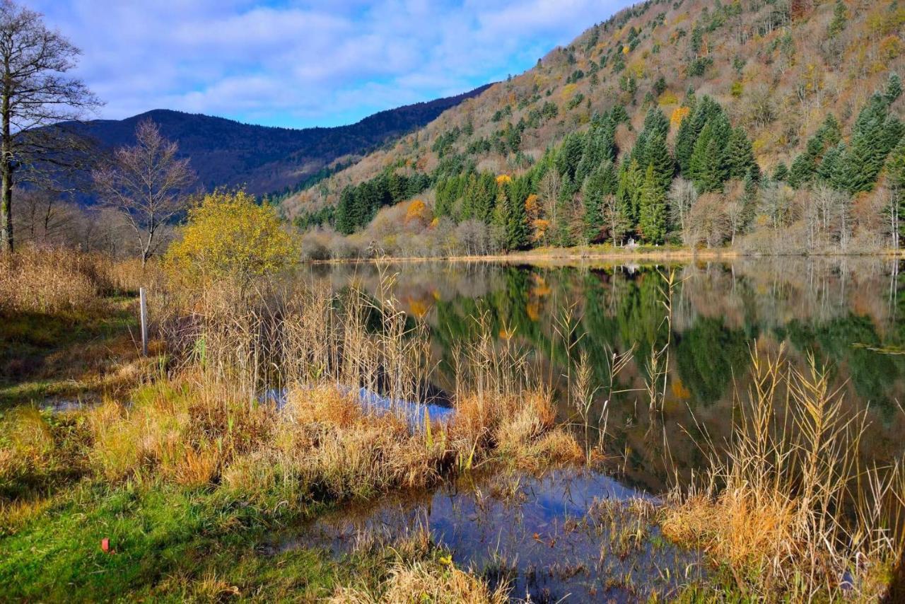 Hebergement Francois Mathieu Saint-Maurice-sur-Moselle Exteriér fotografie