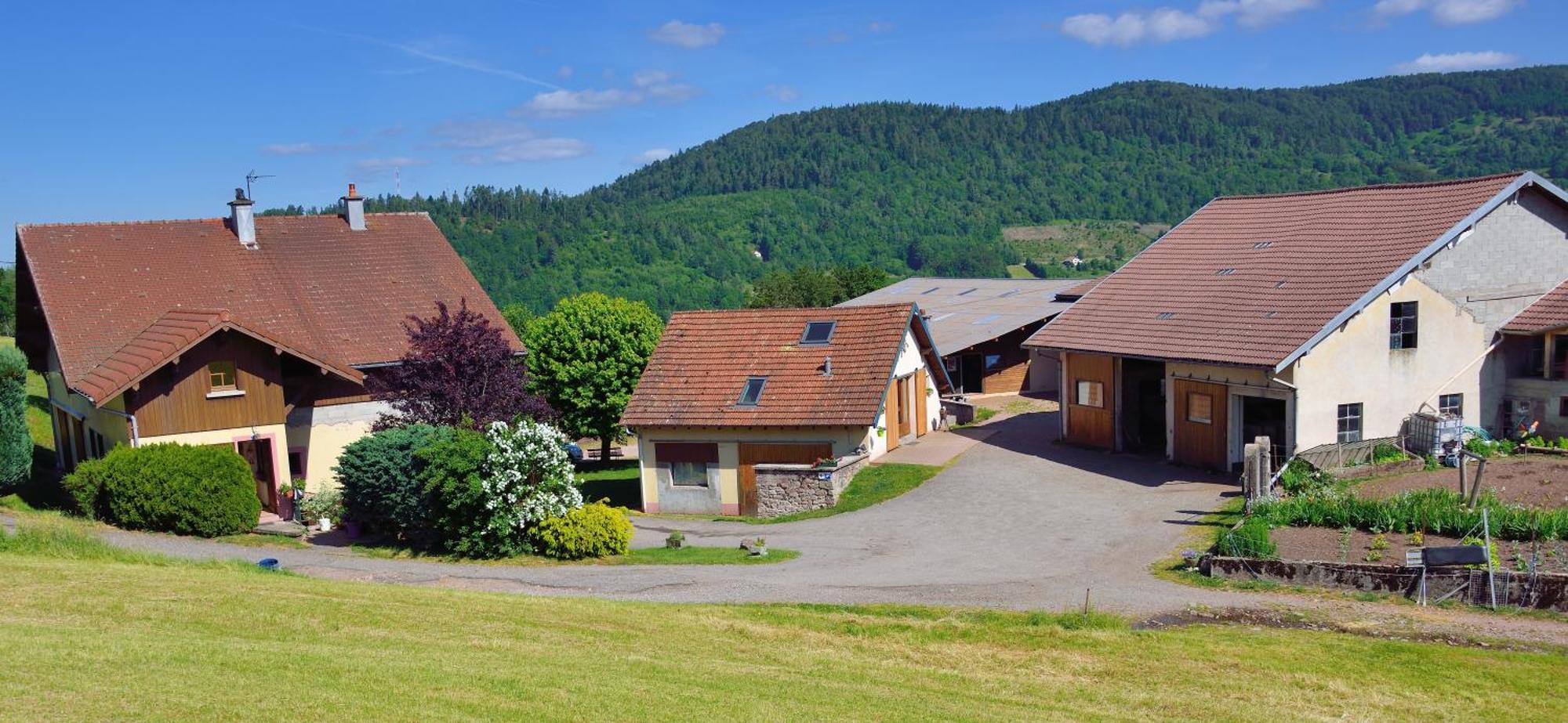 Hebergement Francois Mathieu Saint-Maurice-sur-Moselle Exteriér fotografie