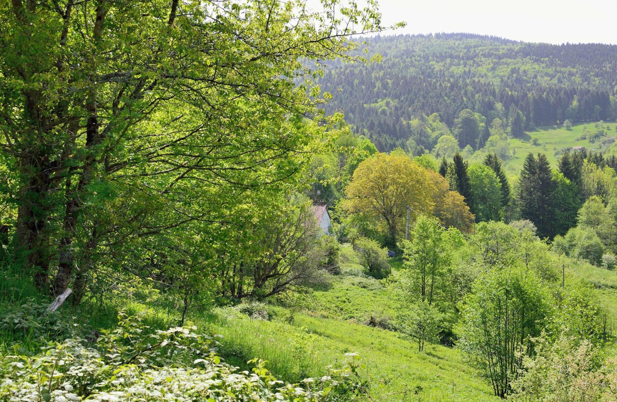 Hebergement Francois Mathieu Saint-Maurice-sur-Moselle Exteriér fotografie
